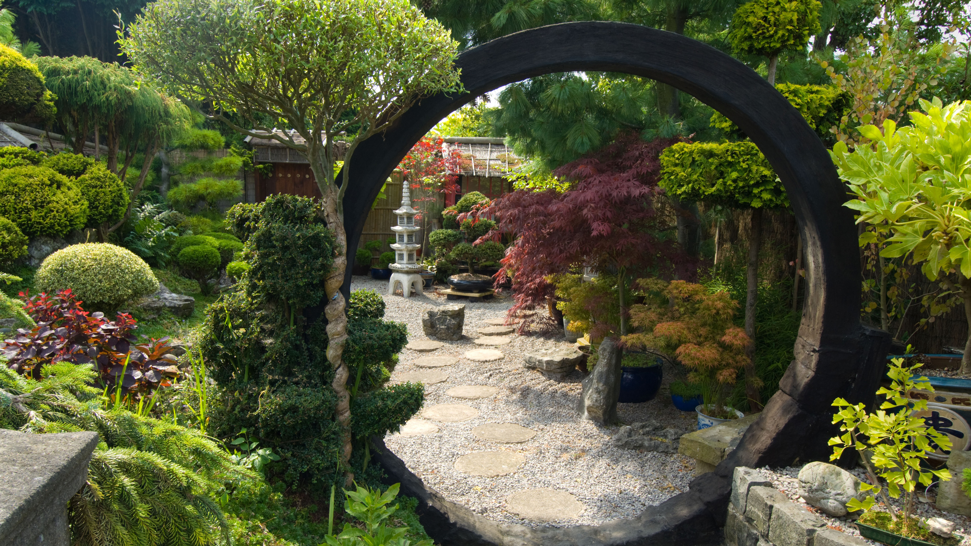 12 plantes japonaises traditionnelles pour votre jardin zen