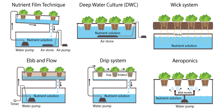  7 tipos diferentes de sistemas hidropónicos e como funcionam