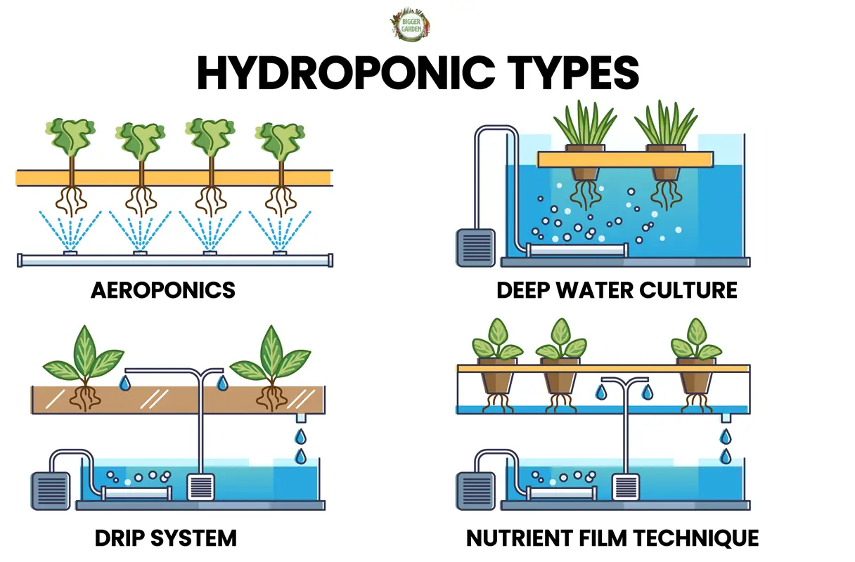 Aeroponics vs. hydrocultuur: wat is het verschil en wat is beter?