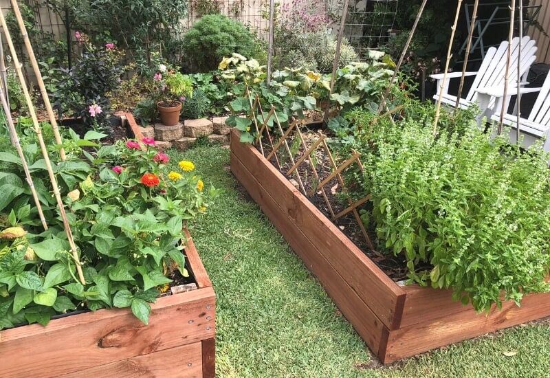  Le jardinage en planches surélevées pour les débutants &amp; ; Guide de planification, de construction, de mélange de sol et de plantation