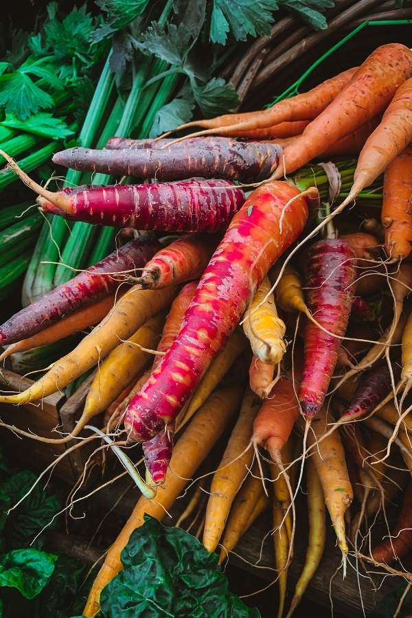  Un ghid pentru soiurile de morcovi și când să le plantezi în grădina ta