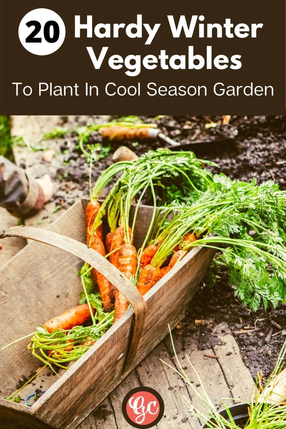  20 légumes d'hiver résistants au froid à planter et à récolter dans votre jardin de saison fraîche