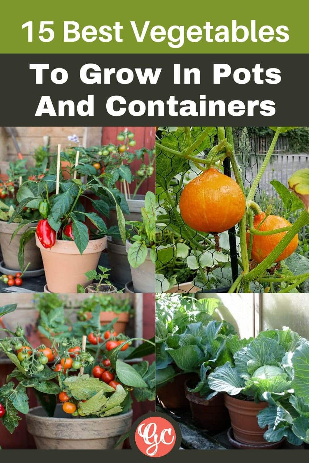  Les 15 meilleurs légumes à cultiver en pots et en conteneurs