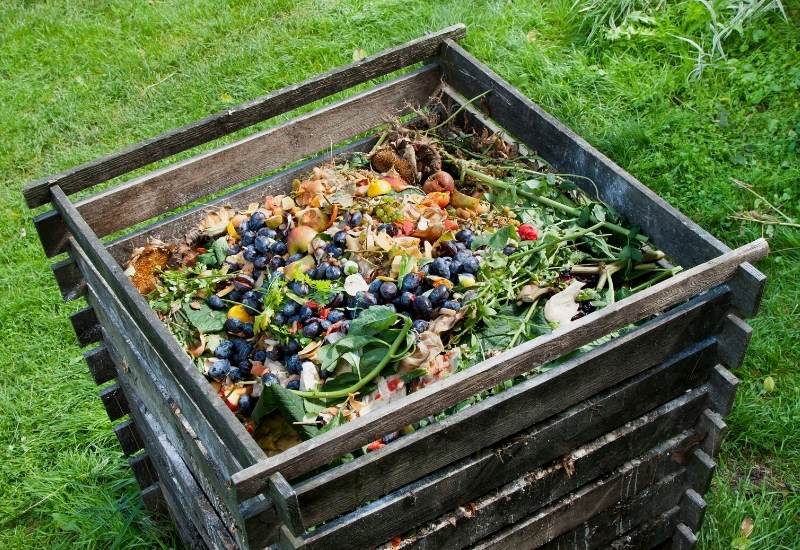  34 choses à ne jamais mettre dans votre compost (et pourquoi)