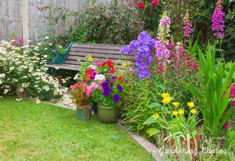  25 plantas com flores que atraem abelhas benéficas para o seu jardim
