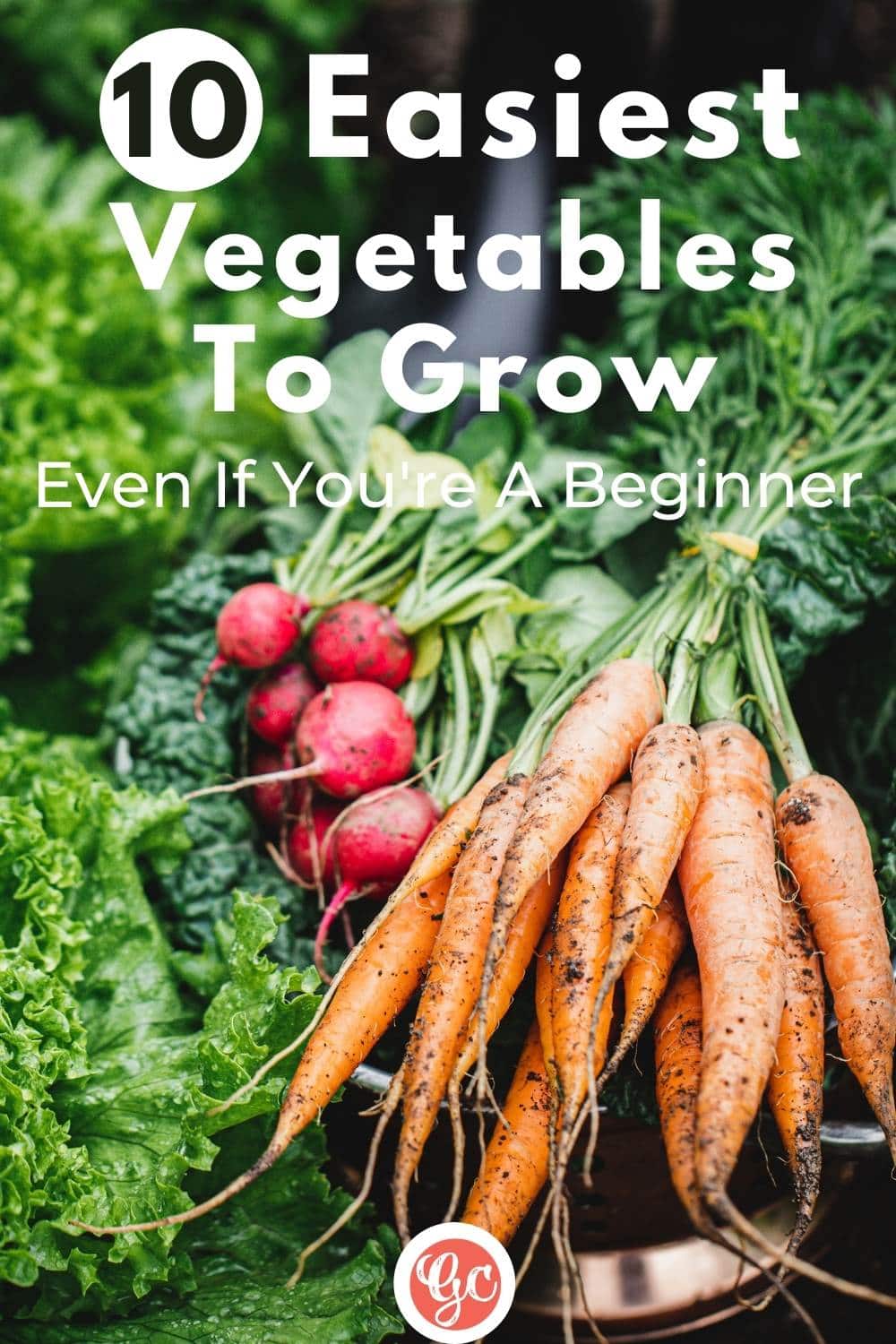  Os 10 legumes mais fáceis de cultivar para os jardineiros de primeira viagem
