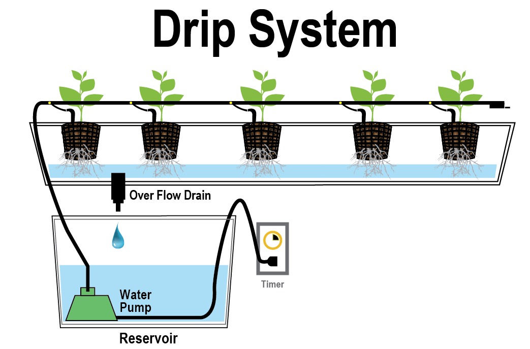  Sistema de gotejamento hidropónico: O que é o sistema de gotejamento hidropónico e como funciona?